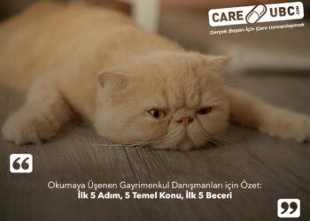 Okumaya Üşenen Gayrimenkul Danışmanları İçin Özet: İlk 5 Adım, 5 Temel Konu, İlk 5 Beceri