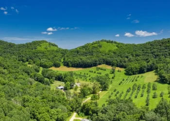 Orman Vasfını Yitiren Alanlar (2B) için Yeni Düzenleme