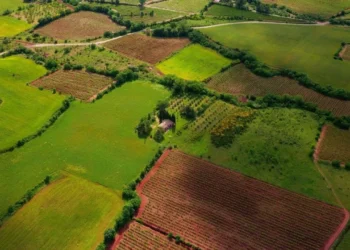 Arsa Yatırımcıları İçin e-Devlet’te ‘Renk’ Dönemi Başladı! Hangi Renk Ne Anlama Geliyor?