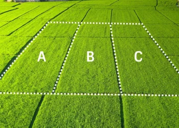 Babadan Kalma Ortak Arsaya Yapılan Ev Kimin?