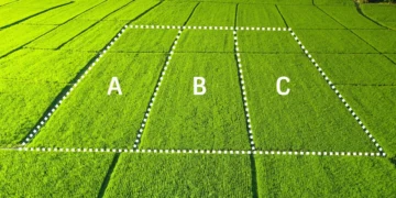 Arsa Bölme (İfraz) Nedir, Nasıl Yapılır?