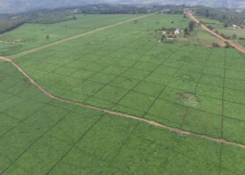 Arsa Bölme (İfraz) Nasıl Yapılır?