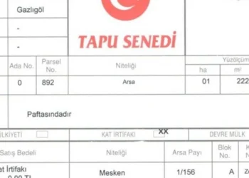 E Devlet Üzerinden Tapu Kayıt Belgesi Nasıl Alınır?