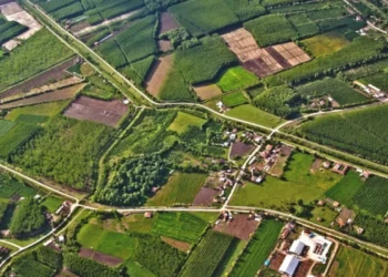 Hazine Arazisinin Tapusu Nasıl Alınır?