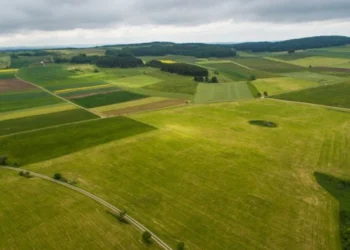 Kalan Mirasın Diğer Ortakları Nasıl Bulunur?