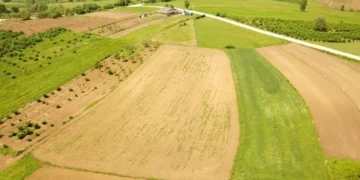 Miras Kalan Ortaklı Arsaya Ev Yapılabilir mı?