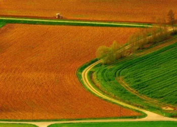 Muhtar Senedi ile Yapılan Tarla Satışı Geçerli mi?