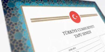 Tapu Renkleri Ne Anlama Geliyor? Turkuaz ve Kahverengi Tapunun Farkı
