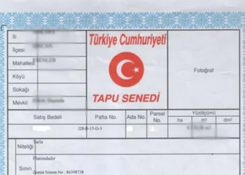 Tapuda Beyanlar ve Şerhler: Ne Anlama Gelir, Nasıl Kaldırılır?
