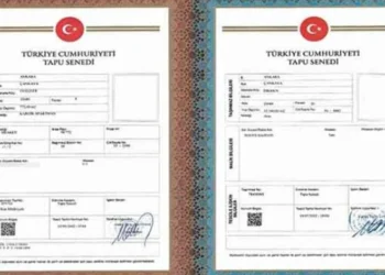 Tapu Senedi Rengi Ne İfade Eder?