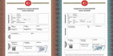 Tapu Senedi Rengi Ne İfade Eder?