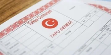Tapu Senedinde Net mi Brüt mü Yazar?