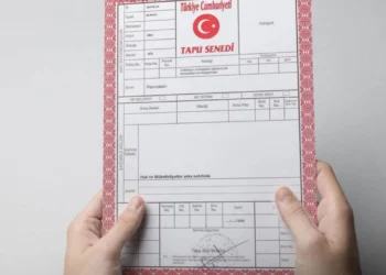 Tapu Okuma Rehberi: Tapuda Ne Yazıyor?