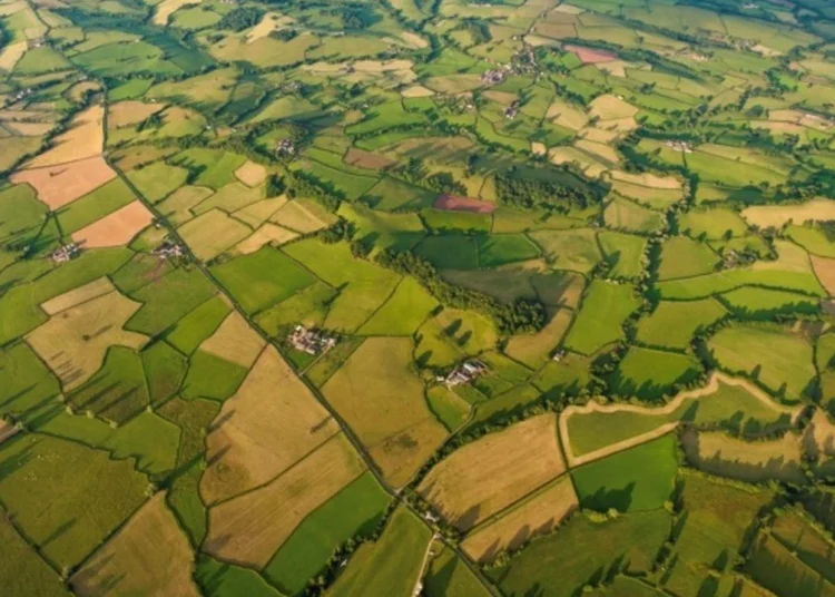 Tarım Arazilerinin Korunması Kanunu