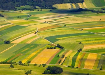 Ünlülerin Yeni Yatırım Trendi: Tarla Satın Alma Modası!