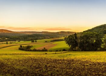 Milyonlarca Hak Sahibine Müjde: Tapuda Orman Şerhi Düğümü Çözülüyor!