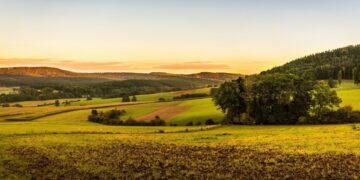 Milyonlarca Hak Sahibine Müjde: Tapuda Orman Şerhi Düğümü Çözülüyor!