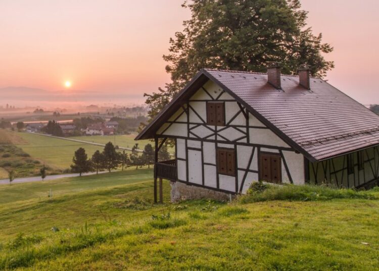 man standing near house and tree at daytime photo – Free Human Image on Unsplash