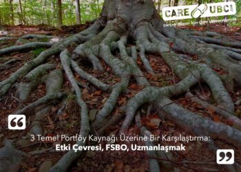 3 Temel Portföy Kaynağı Üzerine Bir Karşılaştırma: Etki Çevresi, FSBO ve Uzmanlaşmak