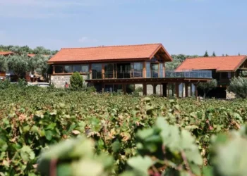 Tarım Arazilerinde Bungalov ve Kaçak Yapı Dönemi Kapanıyor: Erdoğan’dan Yeniden Çalışın Talimatı